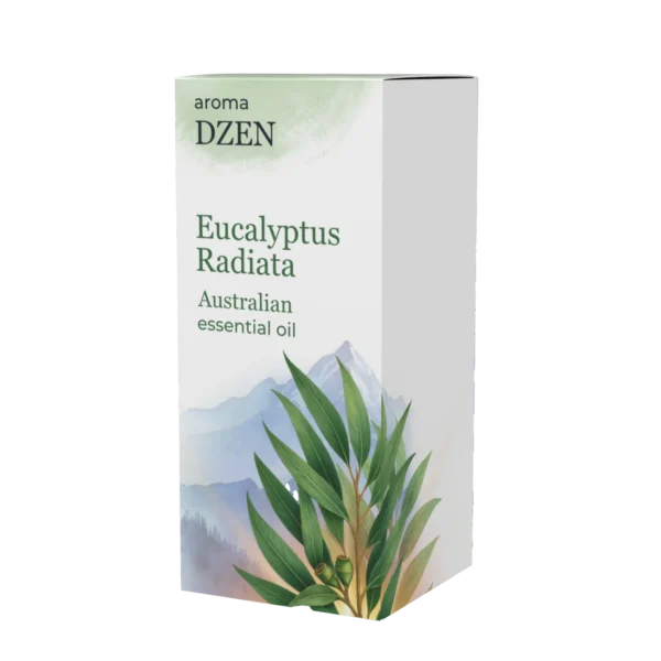 EUCALYPTUS RADIATA AUSTRALIAN