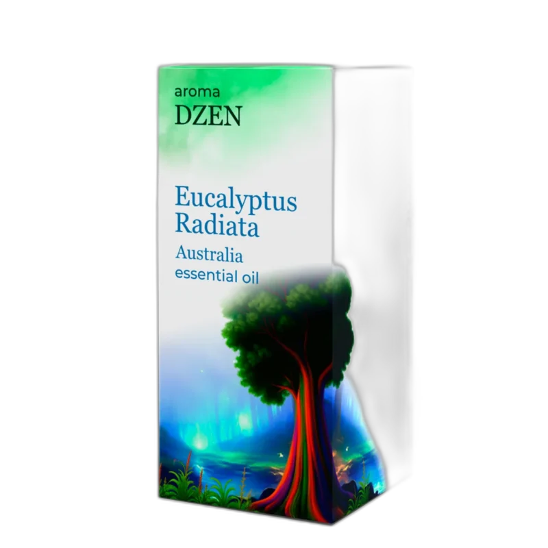 EUCALYPTUS RADIATA AUSTRALIA