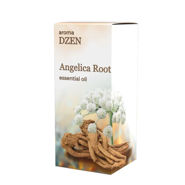 ANGELICA ROOT