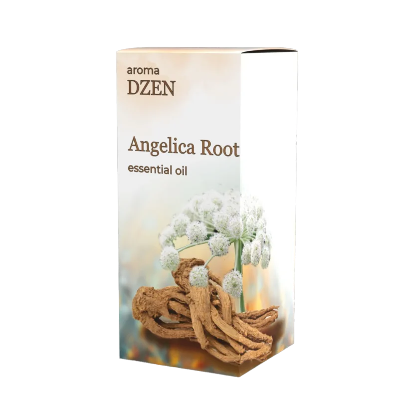 ANGELICA ROOT