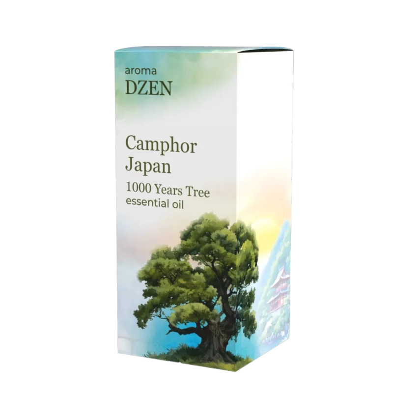 CAMPHOR JAPAN (1000 YEARS TREE)